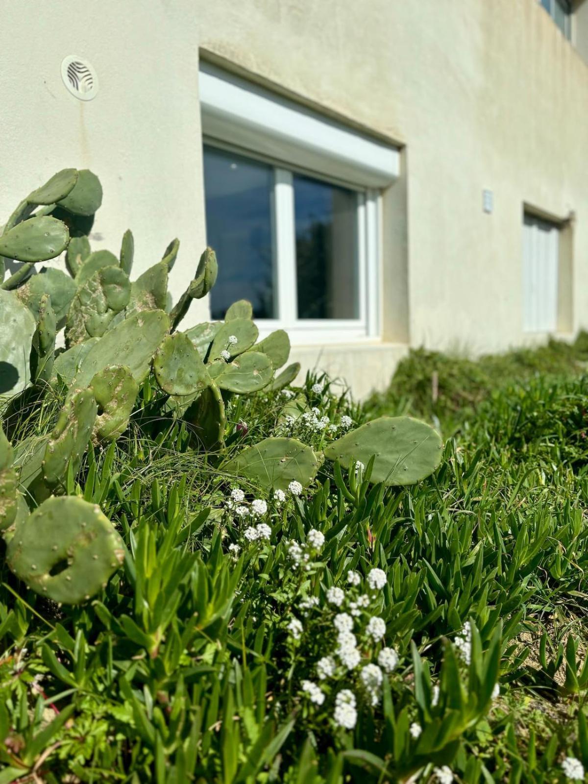 La Graviere, Cozy Studio Wifi & Parking 20M Ocean Surf Plage Soorts-Hossegor Exterior foto